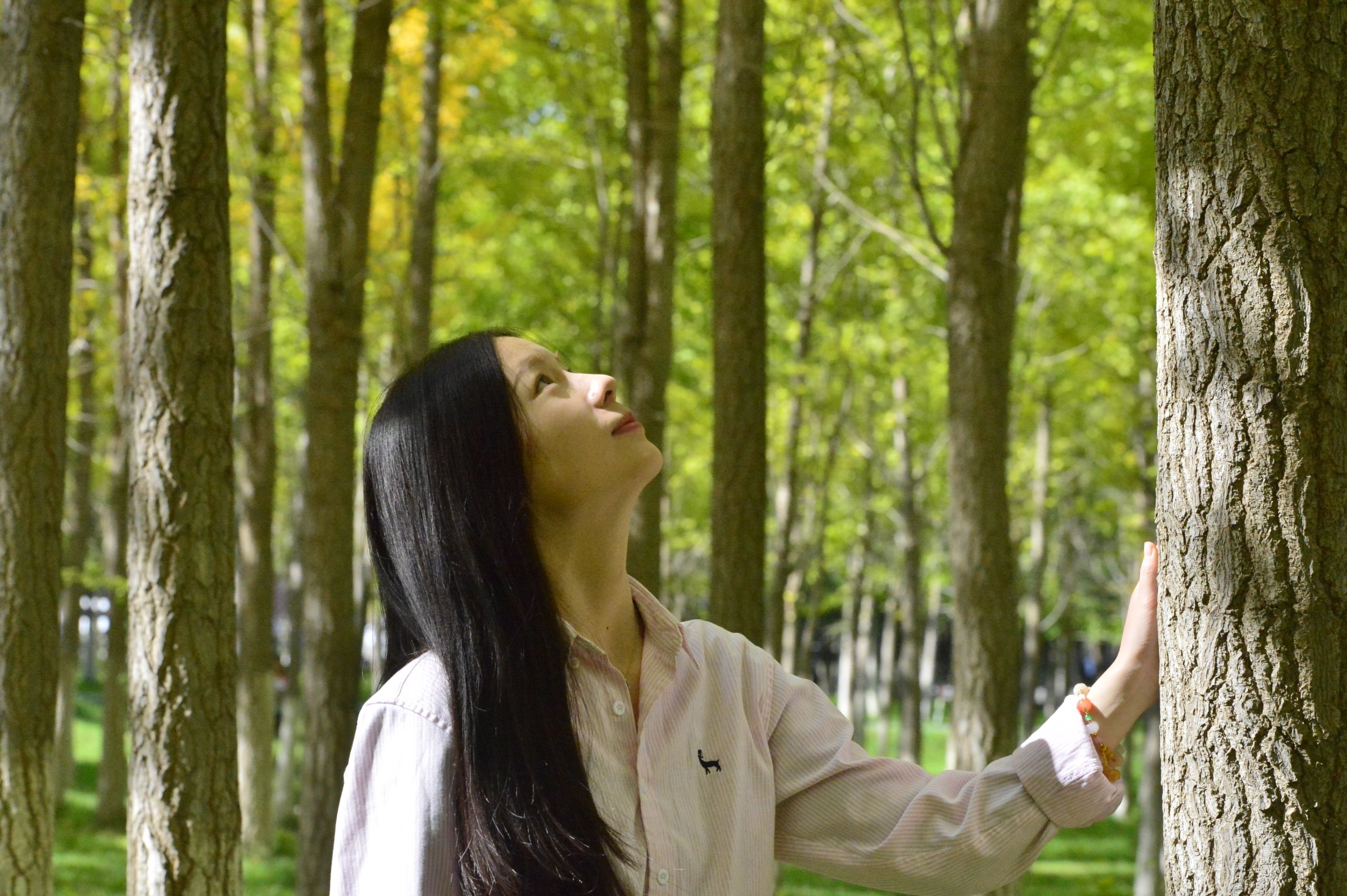 一葉知秋 滿園如畫(huà)