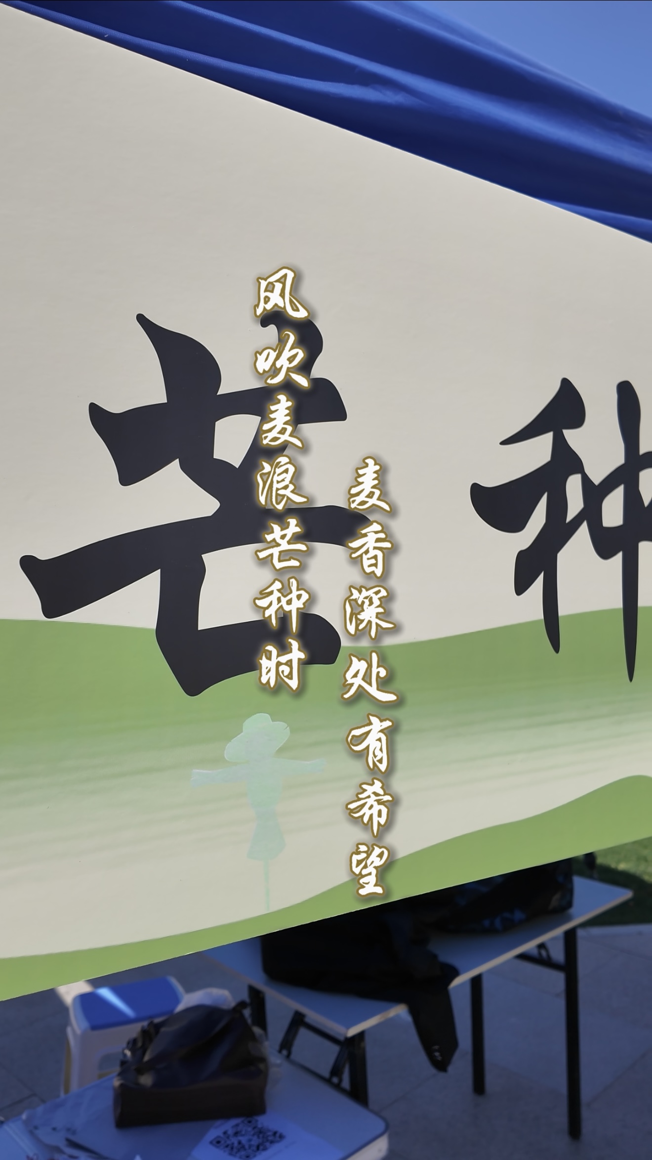 芒種至 盛夏始 有收有種 自在從容