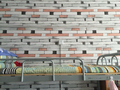 我愛(ài)我家——能動(dòng)學(xué)院雅舍宿舍美化大賽