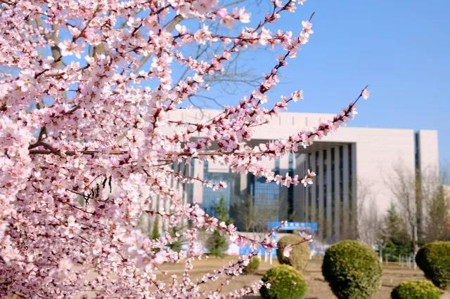 春滿工大關(guān)不住