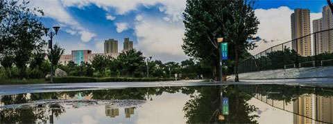 第四屆全國(guó)高?！靶@好聲音”西北賽區(qū)團(tuán)隊(duì)賽精彩紛呈